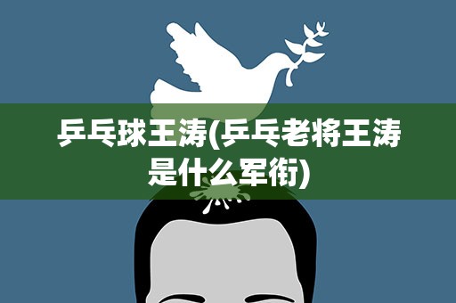 乒乓球王涛(乒乓老将王涛是什么军衔)