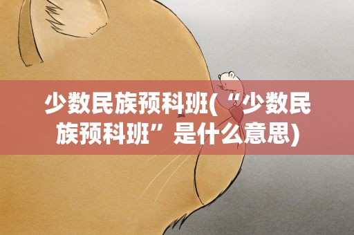 少数民族预科班(“少数民族预科班”是什么意思)
