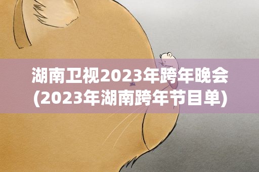 湖南卫视2023年跨年晚会(2023年湖南跨年节目单)