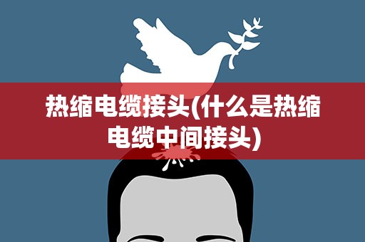 热缩电缆接头(什么是热缩电缆中间接头)