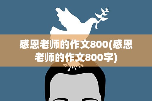 感恩老师的作文800(感恩老师的作文800字)