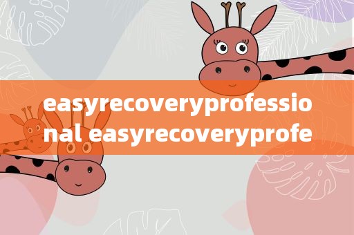 easyrecoveryprofessional easyrecoveryprofessional破解