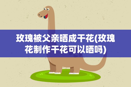 玫瑰被父亲晒成干花(玫瑰花制作干花可以晒吗)