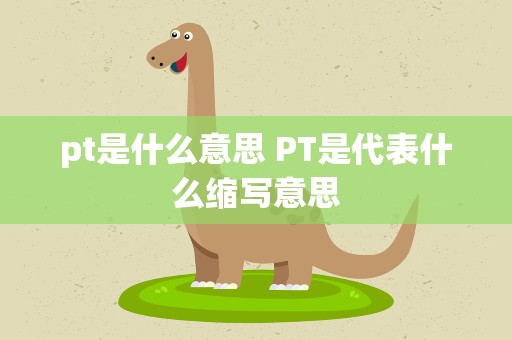 pt是什么意思 PT是代表什么缩写意思