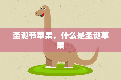 圣诞节苹果，什么是圣诞苹果
