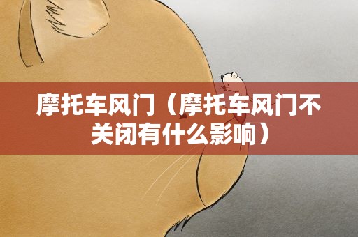 摩托车风门（摩托车风门不关闭有什么影响）