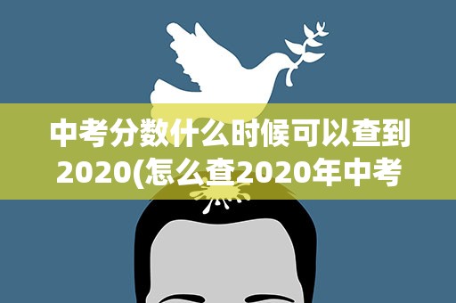 中考分数什么时候可以查到2020(怎么查2020年中考的具体分数)