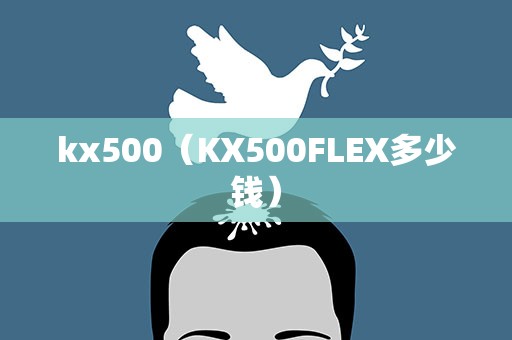 kx500（KX500FLEX多少钱）
