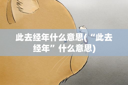 此去经年什么意思(“此去经年”什么意思)