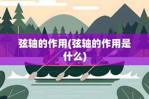 弦轴的作用(弦轴的作用是什么)