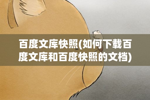 百度文库快照(如何下载百度文库和百度快照的文档)