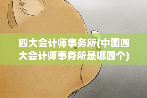 四大会计师事务所(中国四大会计师事务所是哪四个)