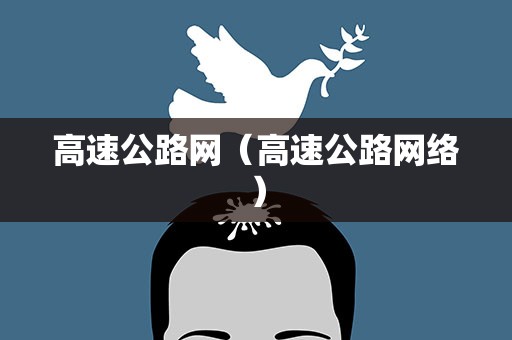 高速公路网（高速公路网络）