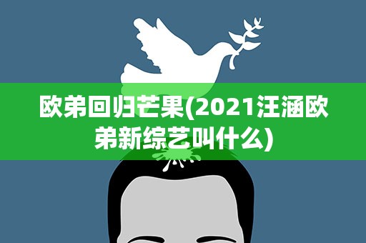 欧弟回归芒果(2021汪涵欧弟新综艺叫什么)
