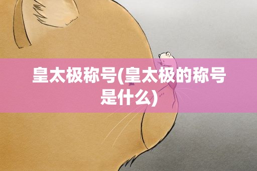 皇太极称号(皇太极的称号是什么)