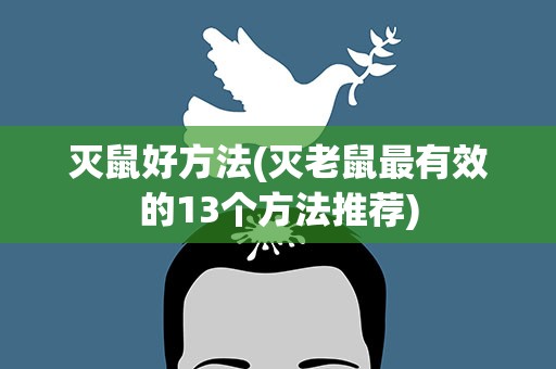 灭鼠好方法(灭老鼠最有效的13个方法推荐)