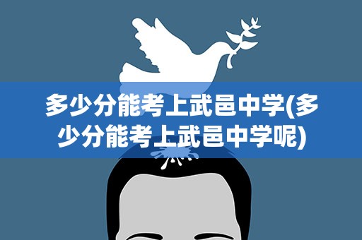 多少分能考上武邑中学(多少分能考上武邑中学呢)