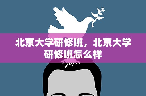 北京大学研修班，北京大学研修班怎么样