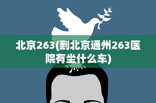 北京263(到北京通州263医院有坐什么车)