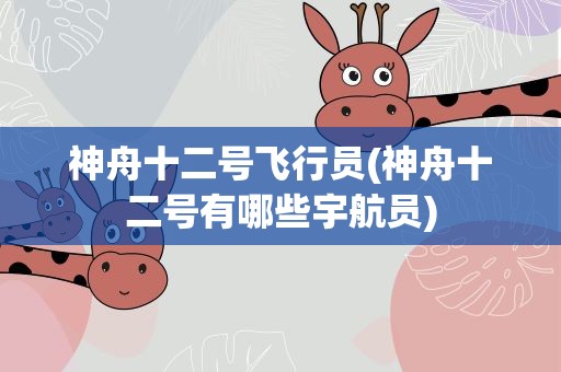 神舟十二号飞行员(神舟十二号有哪些宇航员)