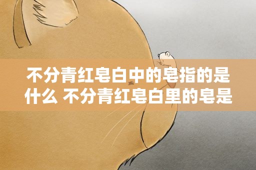 不分青红皂白中的皂指的是什么 不分青红皂白里的皂是什么意思