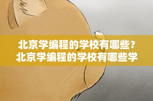 北京学编程的学校有哪些？北京学编程的学校有哪些学校