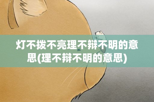 灯不拨不亮理不辩不明的意思(理不辩不明的意思)