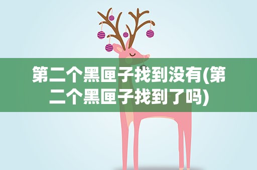 第二个黑匣子找到没有(第二个黑匣子找到了吗)