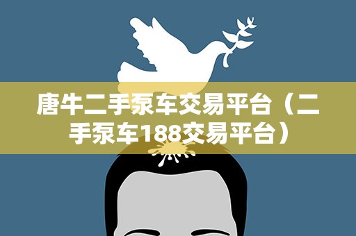 唐牛二手泵车交易平台（二手泵车188交易平台）