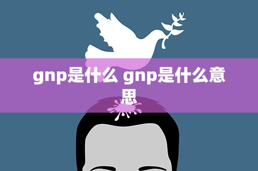 gnp是什么 gnp是什么意思