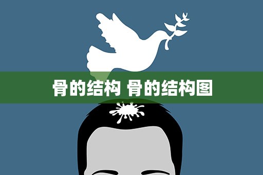 骨的结构 骨的结构图