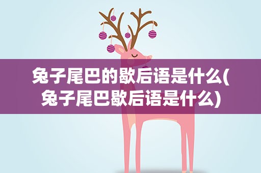兔子尾巴的歇后语是什么(兔子尾巴歇后语是什么)