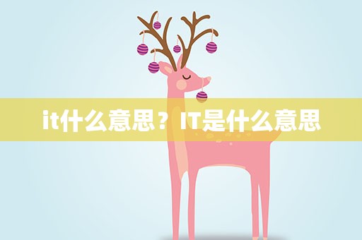 it什么意思？IT是什么意思