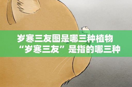 岁寒三友图是哪三种植物 “岁寒三友”是指的哪三种植物