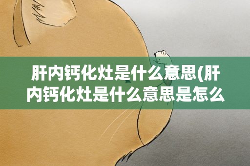 肝内钙化灶是什么意思(肝内钙化灶是什么意思是怎么引起的该注意什么)