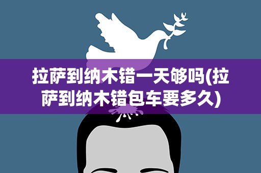 拉萨到纳木错一天够吗(拉萨到纳木错包车要多久)