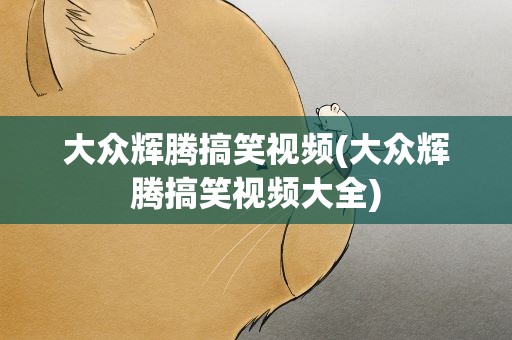 大众辉腾搞笑视频(大众辉腾搞笑视频大全)