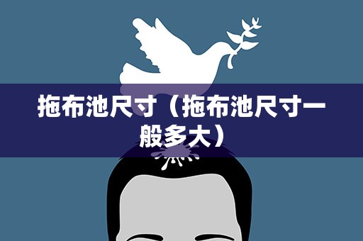 拖布池尺寸（拖布池尺寸一般多大）