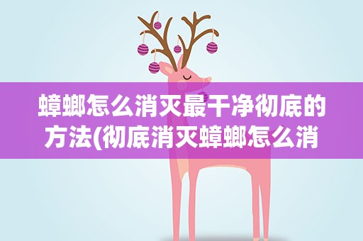 蟑螂怎么消灭最干净彻底的方法(彻底消灭蟑螂怎么消灭的5种方法)