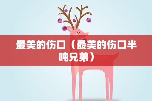 最美的伤口（最美的伤口半吨兄弟）