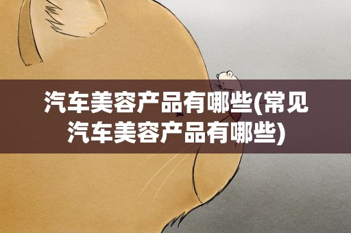 汽车美容产品有哪些(常见汽车美容产品有哪些)