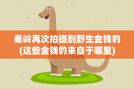 秦岭再次拍摄到野生金钱豹(这些金钱豹来自于哪里)
