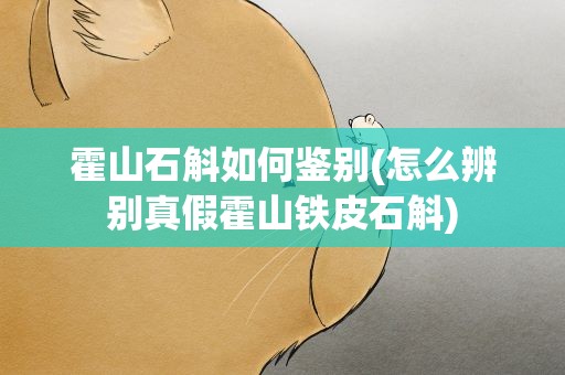 霍山石斛如何鉴别(怎么辨别真假霍山铁皮石斛)