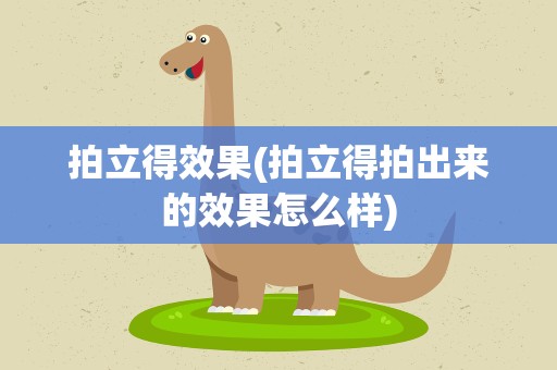 拍立得效果(拍立得拍出来的效果怎么样)