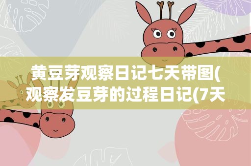 黄豆芽观察日记七天带图(观察发豆芽的过程日记(7天左右))