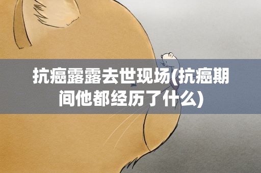 抗癌露露去世现场(抗癌期间他都经历了什么)
