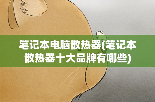 笔记本电脑散热器(笔记本散热器十大品牌有哪些)