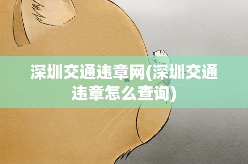 深圳交通违章网(深圳交通违章怎么查询)