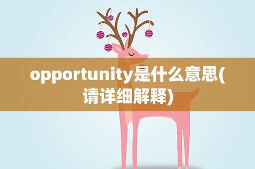 opportunity是什么意思(请详细解释)