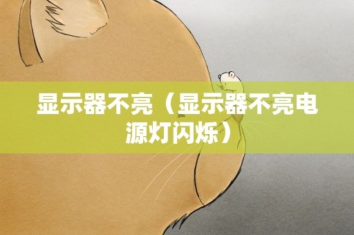 显示器不亮（显示器不亮电源灯闪烁）